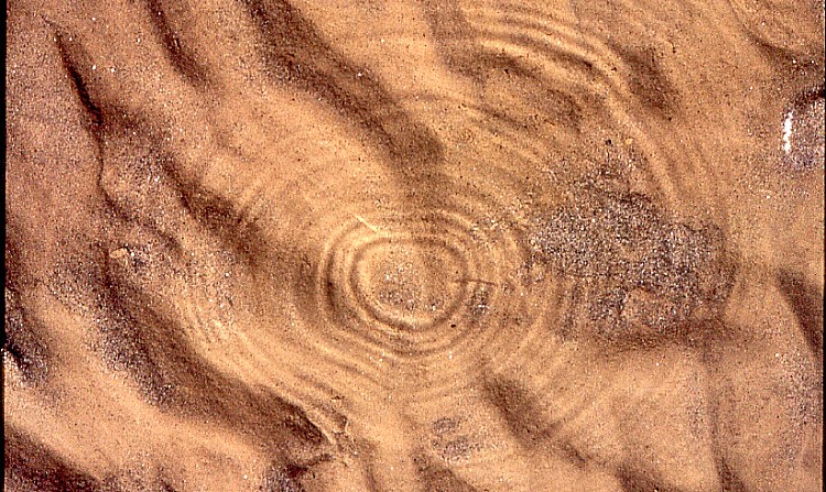 Il movimento dell''acqua